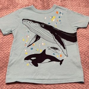 Cat jack 5t tee shirt.